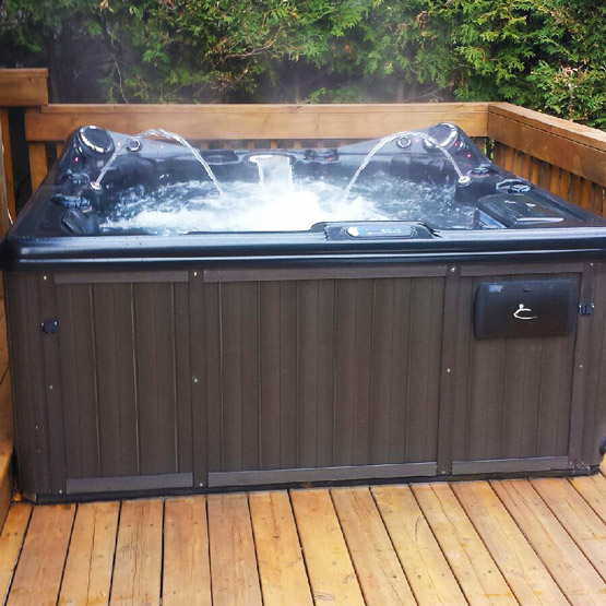 Dynasty Trident, 2010 - Hot Tub For Sale - The Hot Tub Doctors